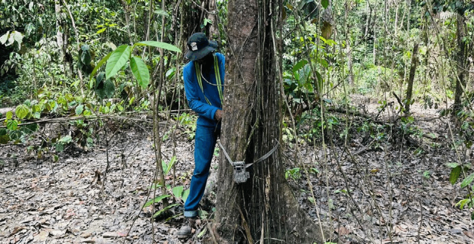 ͼƬ1_���� (1).png