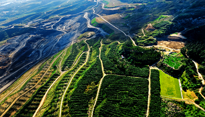 1411547907 1411547907