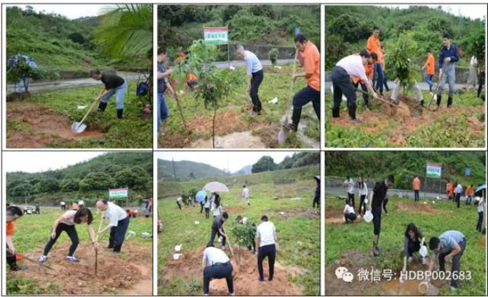 ������� �C �������,��������